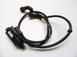 Bobine Yamaha XJ 900 S Diversion