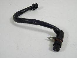 Motorblok diverse Triumph Tiger 1050