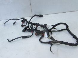 Wire Harness Honda CBX 750 F