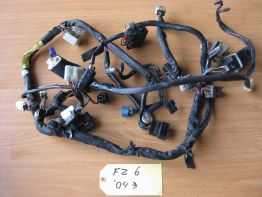 Wire Harness Yamaha FZ6