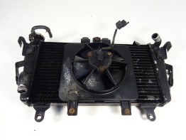 Radiateur Triumph Tiger 1050