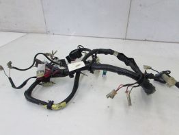 Kabelboom Yamaha FAZER 600