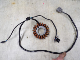 Dynamo Triumph Tiger 900 Rally Pro