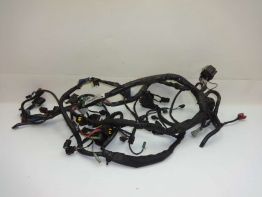 Wire Harness Kawasaki ER 6
