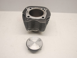 Cilinderblok Harley Davidson Softtail