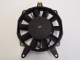 Fan Triumph Trophy 900