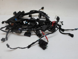 Kabelboom Triumph Daytona 675 