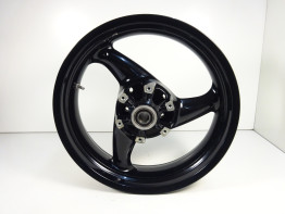 Achtervelg Ducati Monster 695