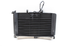 Radiateur Yamaha XJ 6 N