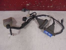 Kabelboom voor Honda CBR 1100 XX