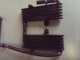 Olkuhler Aprilia RSV 1000