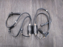 Bobine Suzuki DL 650 V Strom XTA