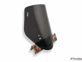 Scheibe Windschild Suzuki DL 1000 V STROM