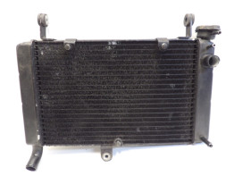Radiator Yamaha FZR 600