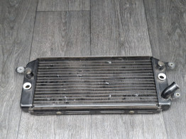 Kuhler Suzuki VZ 800 marauder