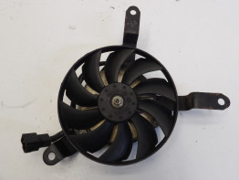Fan Yamaha FZ6