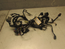 Wire Harness Yamaha FJR 1300