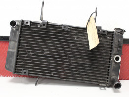 Kuhler Yamaha FAZER 600