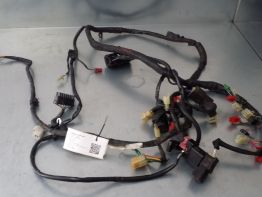Wire Harness Honda CBR 600 F