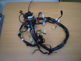 Wire Harness Yamaha FAZER 600