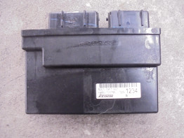 CDI ECU unit Triumph Tiger 1200 Explorer XRT