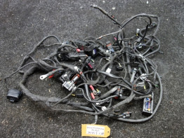 Wire Harness BMW R 1250 GS Adventure