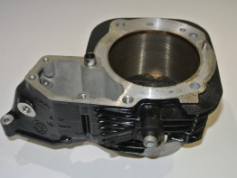 Cilinderblok BMW HP2 Megamoto