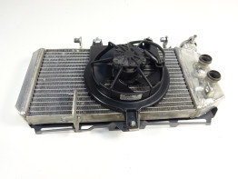 Radiateur BMW F 800 R