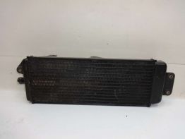 Radiator Suzuki VX 800