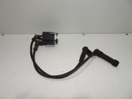 Bobine Ducati Multistrada 1100