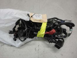 Wire Harness Triumph Tiger 1050