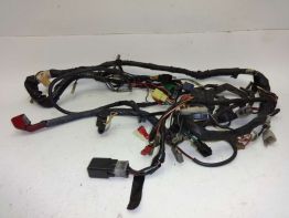 Wire Harness Suzuki VX 800
