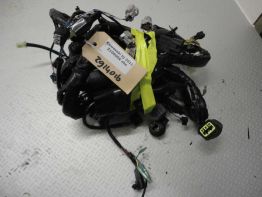 Kabelboom Kawasaki Z 1000 Sx