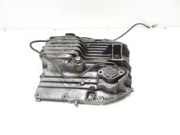 Olwanne Yamaha V max