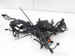 Wire Harness Triumph 675 Street Triple R