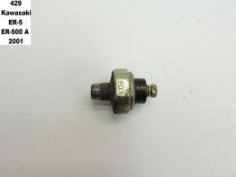 Engine parts Kawasaki ER 5