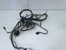 Kabelboom Aprilia Pegaso