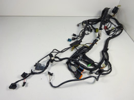 Kabelboom Kawasaki ER 6