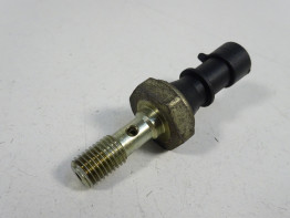 Engine parts Triumph Sprint ST 1050