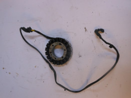 Dynamo Aprilia Caponord 1000