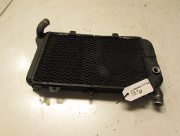 Radiator Kawasaki ZZR 600