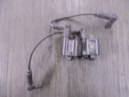 Zundspule Ducati Scrambler Desert Sled