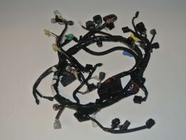 Wire Harness Suzuki SFV 650 Gladius