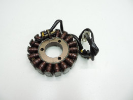 Dynamo Kawasaki ER 5