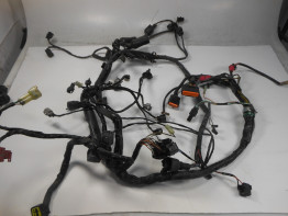 Wire Harness Kawasaki ER 6