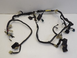 Wire Harness Yamaha FZ6