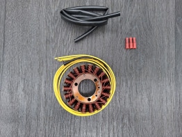 Dynamo Kawasaki VN 700 750