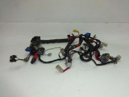 Wire Harness Yamaha FZ 750