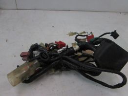 Kabelboom Honda CBR 600 F