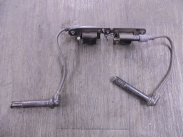 Bobine Ducati Monster 821